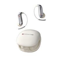 Titanium ear hook Bluetooth headphones